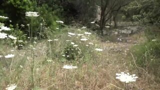 Brunette babe blows hard cock outdoors