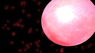 Radiant #13 got a massage