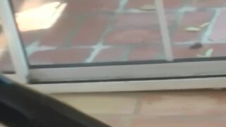 Anastasia Pierce anally played with vintage latex fingers