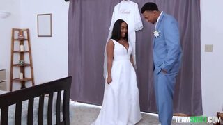 Big Brown Tirries - Lily Starfire