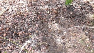 Lovely big ass chick anallly smashed