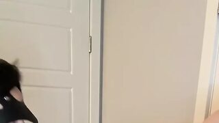 Watch Me Suck Out 2 Loads From Tied up Slut