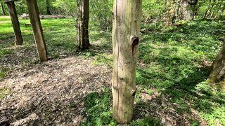 Camouflage Vaginal Slapping