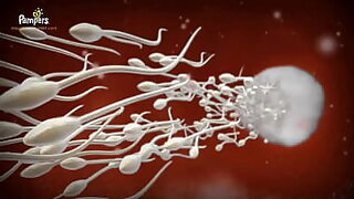 Sibling Sodomites Seduce Each Other with Potent Sexual Enhancers