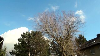 Sexy tattooed mature gets her pussy smashed hard