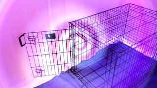 Sultry Siren Lady Ashley Teases Naughty😈 Needs October 20 2024