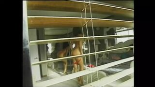 Vintage Porn Where a Girl Gets Fucked by a Big