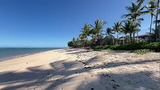 I Had Wild Sex with a Random Beachmeet